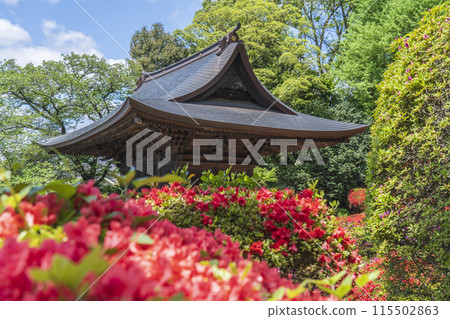 川崎景點】川崎一日遊！川崎大師+川崎市立日本民家園- 日和Hiyori