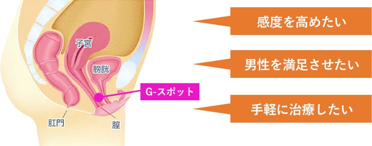 Gスポット開発とは？場所と位置の見つけ方 - 夜の保健室