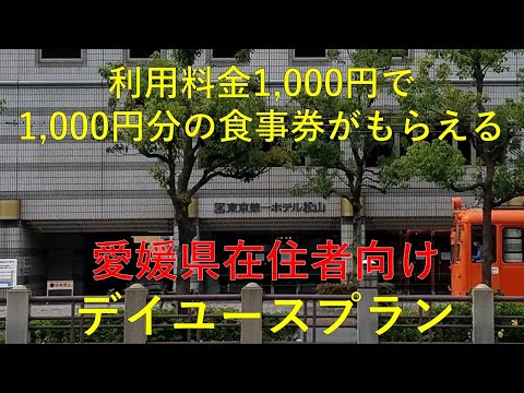 松山でデリヘルを呼べるホテル12選！デリヘル遊びしたいならココへ | オトコの夜旅