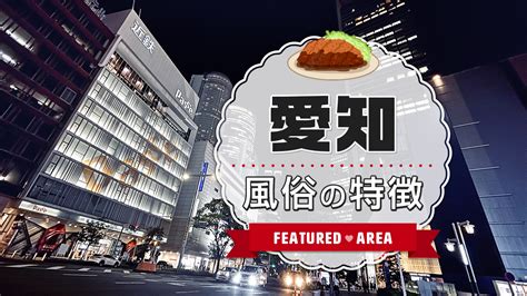 徳川｜西三河 岡崎 キャンパブ｜夜遊びガイド三河版