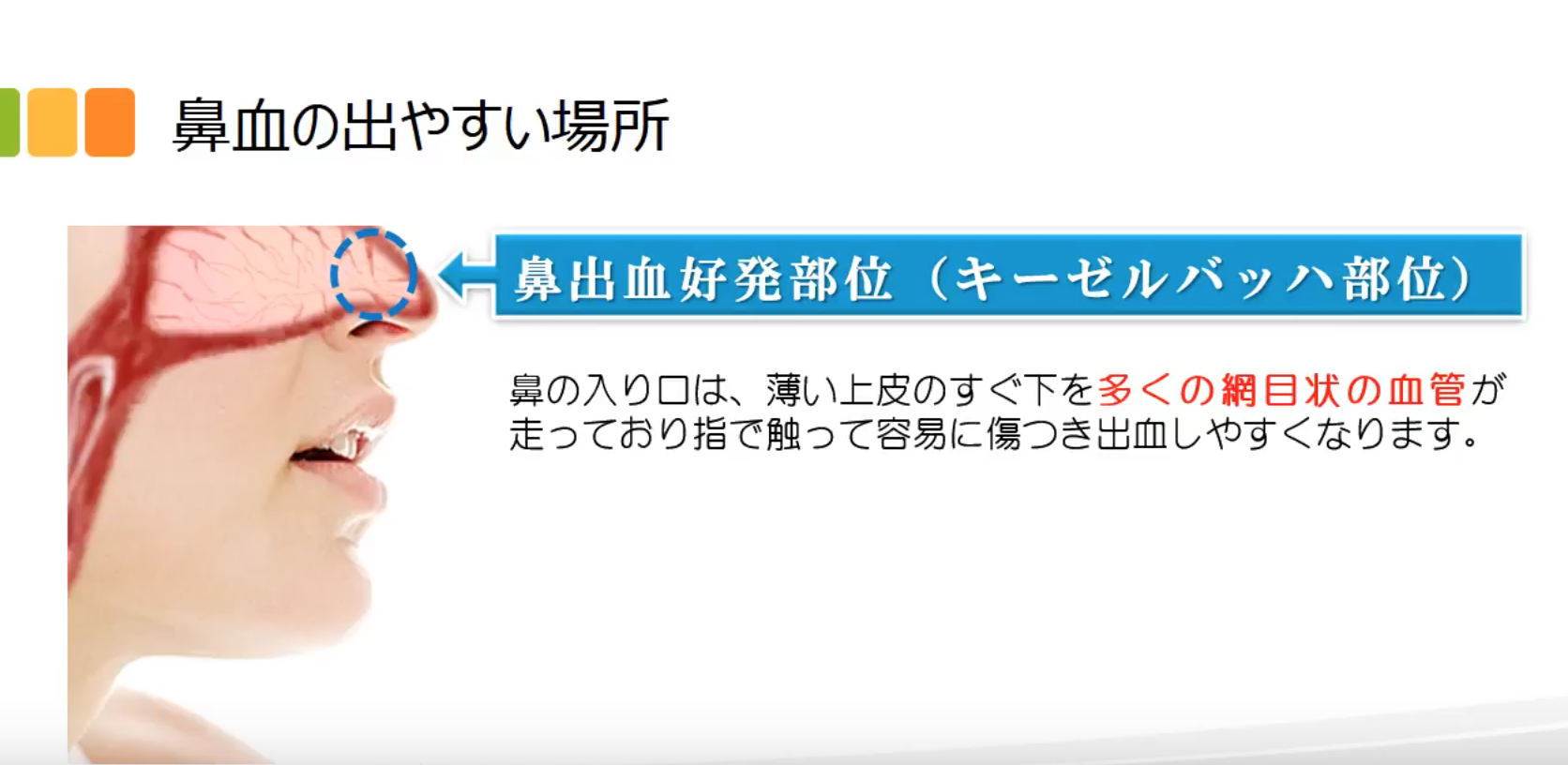 堀部耳鼻咽喉科医院｜鼻血｜京都市右京区の耳鼻咽喉科