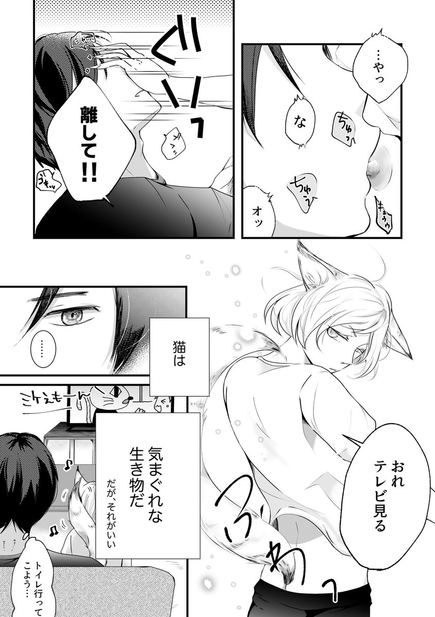 エロ漫画】猫ときまぐれ「全部忘れてリーマンとセックス｜舞い込んできたむっちり娘」【24枚】 | ひめぼん