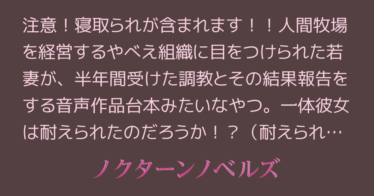 駿河屋 -【アダルト】<中古><<その他ゲーム>> Y豚ちゃんのNTR報告動画が毎日送られてくる /