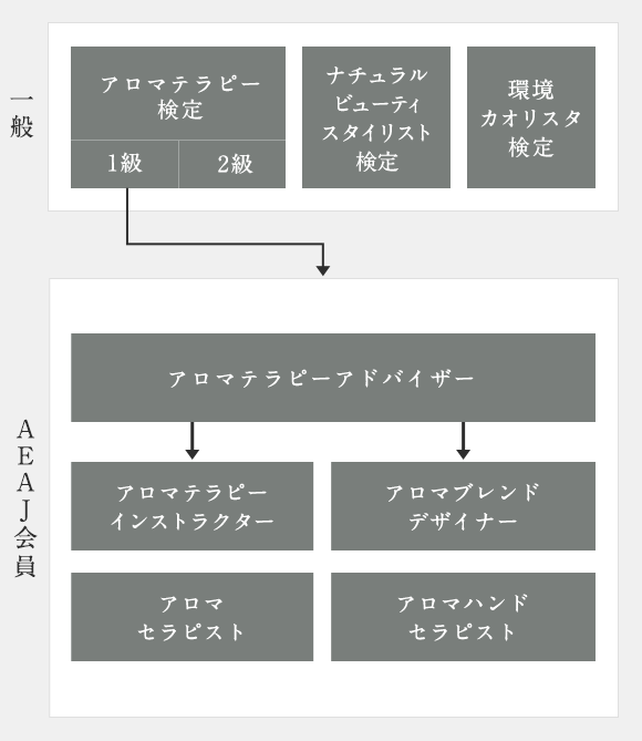 アロマテラピー資格対応コース｜スクール・セミナー｜生活の木：ハーブやアロマなど自然の恵みを活かし、ウェルネス＆ウェルビーイングなライフスタイルをお届け