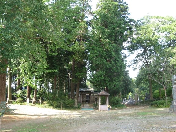 高野山奥の院 千姫供養塔周辺の石塔