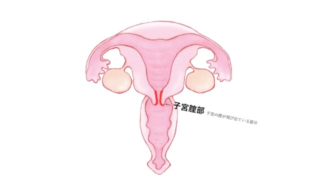 女性の憧れ「中イキ方法」！ 経験者はどれくらい？ 深い快感を得るためにしたいこと |