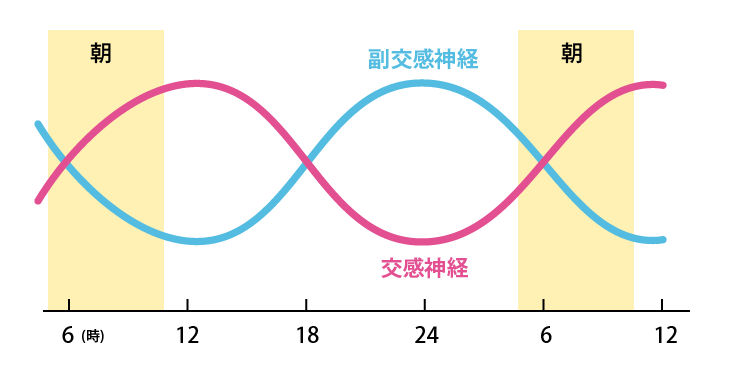 【医者が廃業する】「自慰行為を毎日やり続けると、体に起こる変化がヤバすぎた」を世界一わかりやすく要約してみた【本要約】