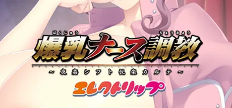 グラビア切り抜き 柳瀬早紀 「爆乳婦警ナース」(タレント)｜売買されたオークション情報、Yahoo!オークション(旧ヤフオク!)