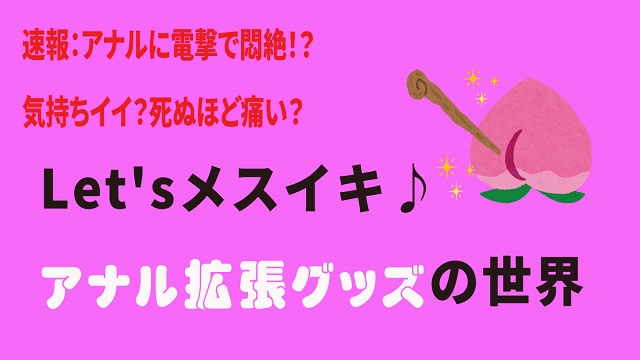 アナルアンカー（中級者向け）で過激なアナルくぱぁ♪ | アダルトグッズ 性感堂【送料380円・即日発送・年中無休】