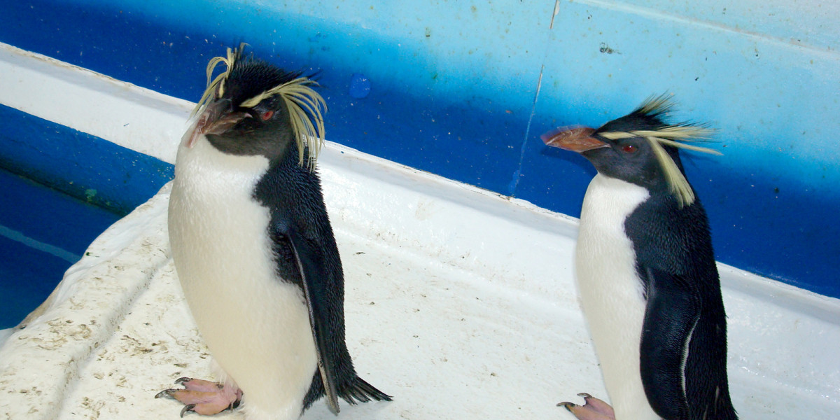 海がない札幌にある唯一の水族館│サンピアザ水族館のご紹介 地域情報ブログ - U・Iターン転職ならリージョナルキャリア北海道