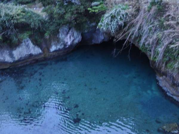 堂ヶ島温泉（静岡）のホテル・旅館 料金比較・宿泊予約 -