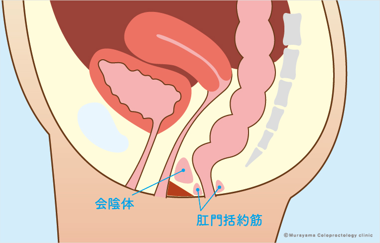 ポルチオの場所は？気持ち良いポイントと奥イキのやり方を詳しく解説 – 女性用風俗帝公式