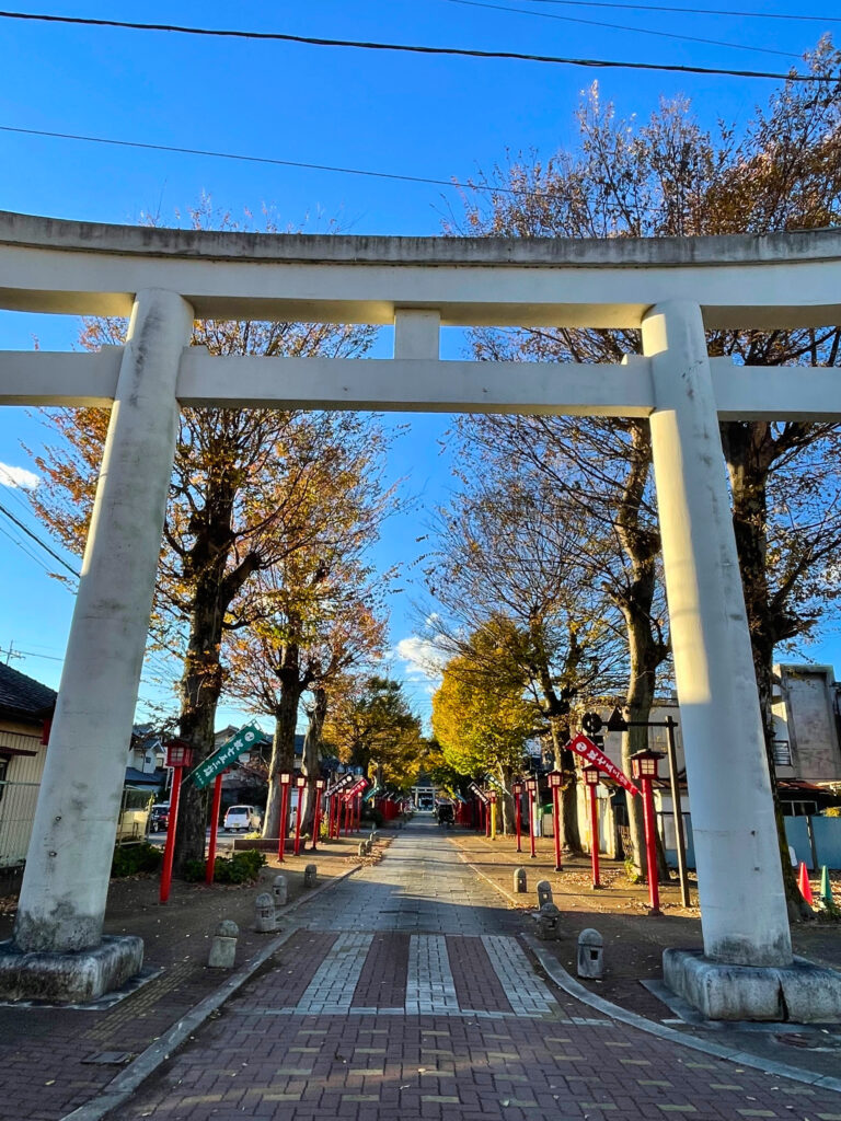 小山市中心部で7月20日に「祇園祭」 今年は夕方から！街のど真ん中をお神輿が練り歩きます | とりぷれ