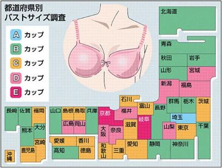 巨乳が多い地域はどこですか？ イメージ的には雪深い北陸ですが、、 -- 地域研究 |