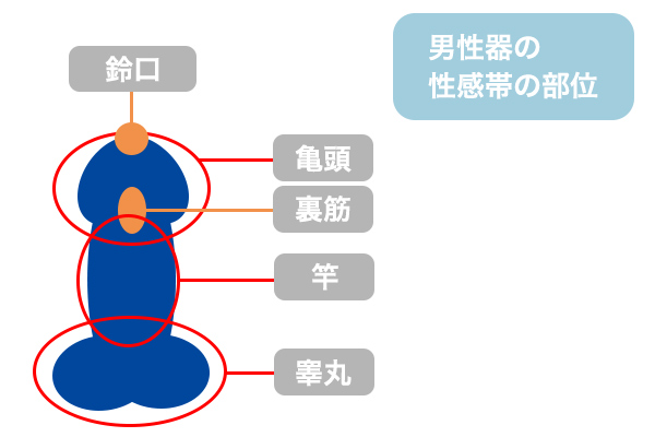 彼氏との初エッチのベストタイミングは3回目のデート？理想の期間をご紹介 | Ray(レイ)