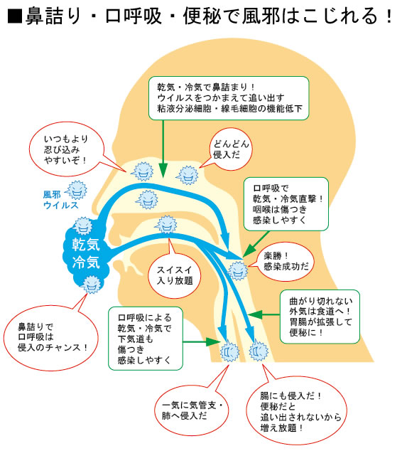 薬剤性EDとは？｜【浜松町第一クリニック】