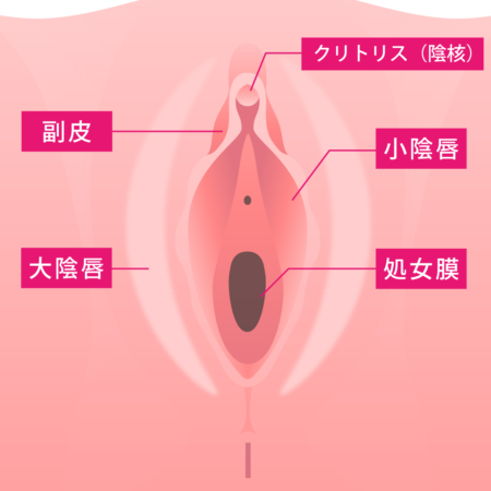 脳全体が活性化して茫然自失状態になるなど「女性のオーガズムのナゾ」の科学的解説 - GIGAZINE