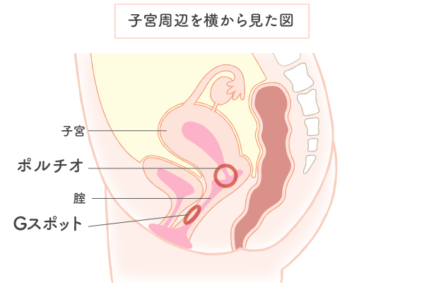 中イキとは？ 中イキできない理由と中イキするための方法【医師が解説】｜「マイナビウーマン」