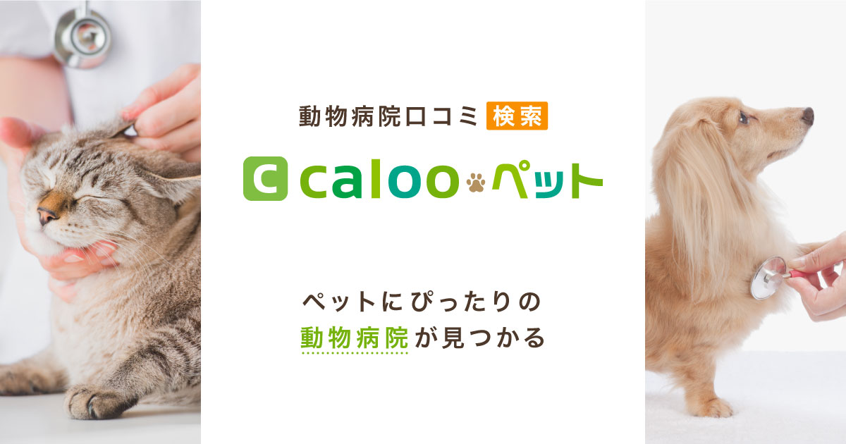 豪徳寺 なみき動物診療所／ホームメイト