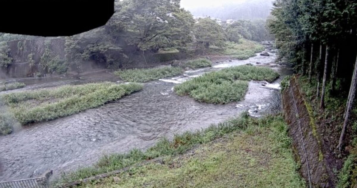 森と共に歩む飯能市 その4 ムーミンみたいな白い象さん？観音寺 |