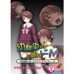 変態ドMお嬢様は仮想空間で愛されたい（ふらふらトキシン）の通販・購入はメロンブックス | メロンブックス