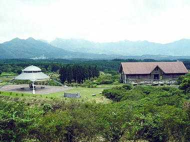 那須高原 南ヶ丘牧場 | モフモフのお尻がたくさん！ 羊さん達のご飯中の光景です🐑