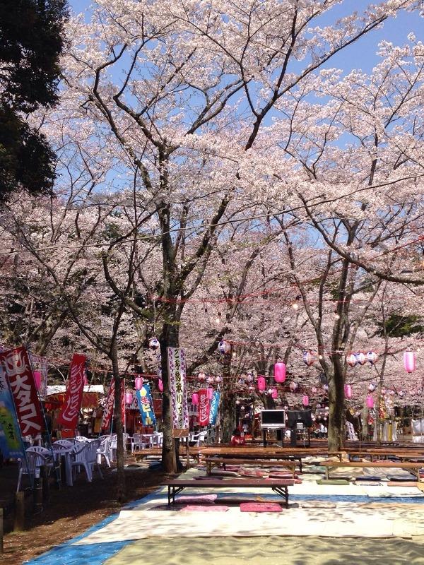 水戸観光コンベンション協会【公式】 | 【水戸の梅大使 夏着物へ衣替えしました】 ６月から9月、水戸の梅大使は、水戸