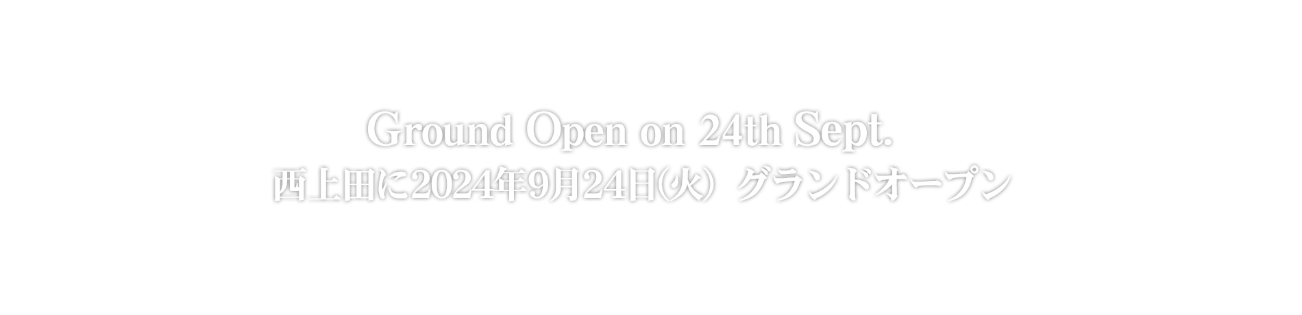 Amazon | [What's!?] 上下セット