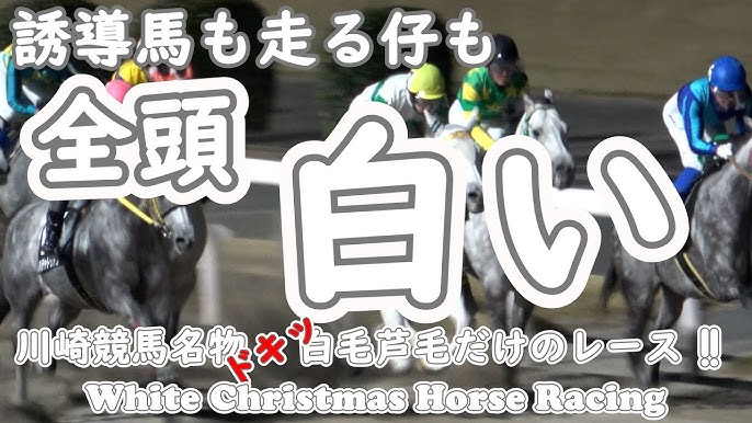 香港クイーンエリザベス２世Ｃ】デアリングタクトが最終追い 松山「動きは問題ありません」 -