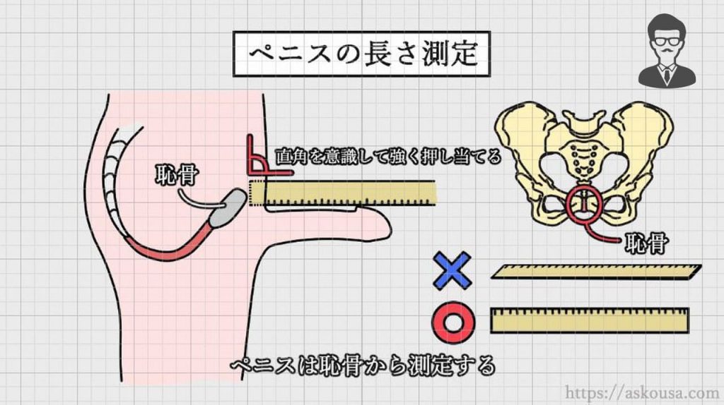 日本人のペニスサイズ調査～調査の方法 | 男性生殖器マニア