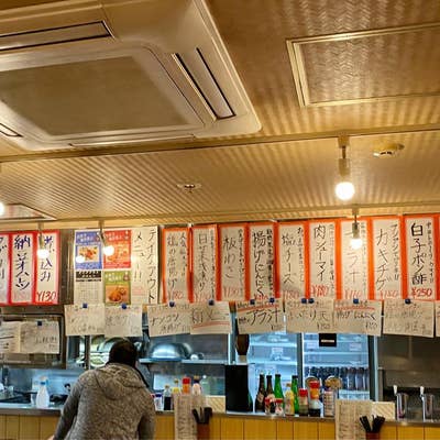 色とりどりの鳥の街 「巣鴨駅周辺」 - 東京冒険紀行