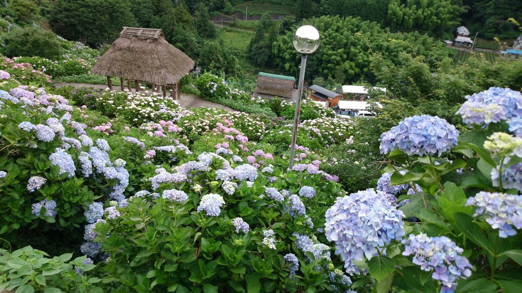 四国中央市三島メンズエステ | SPAアロマショコラ（すぱあろましょこら）｜店舗スタッフ常駐