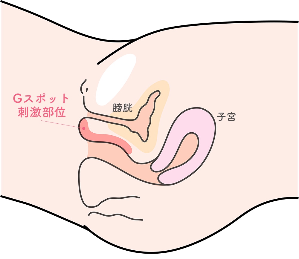 ファーストバイブ 膣トレ Gスポット開発丨大人のおもちゃとアダルトグッズ専門店ワイルドワン