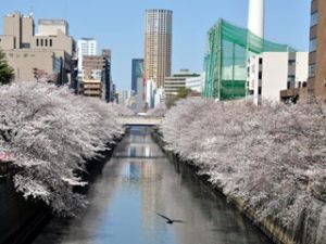 五反田駅探訪：オシャレな街での新たな発見 | TikTok