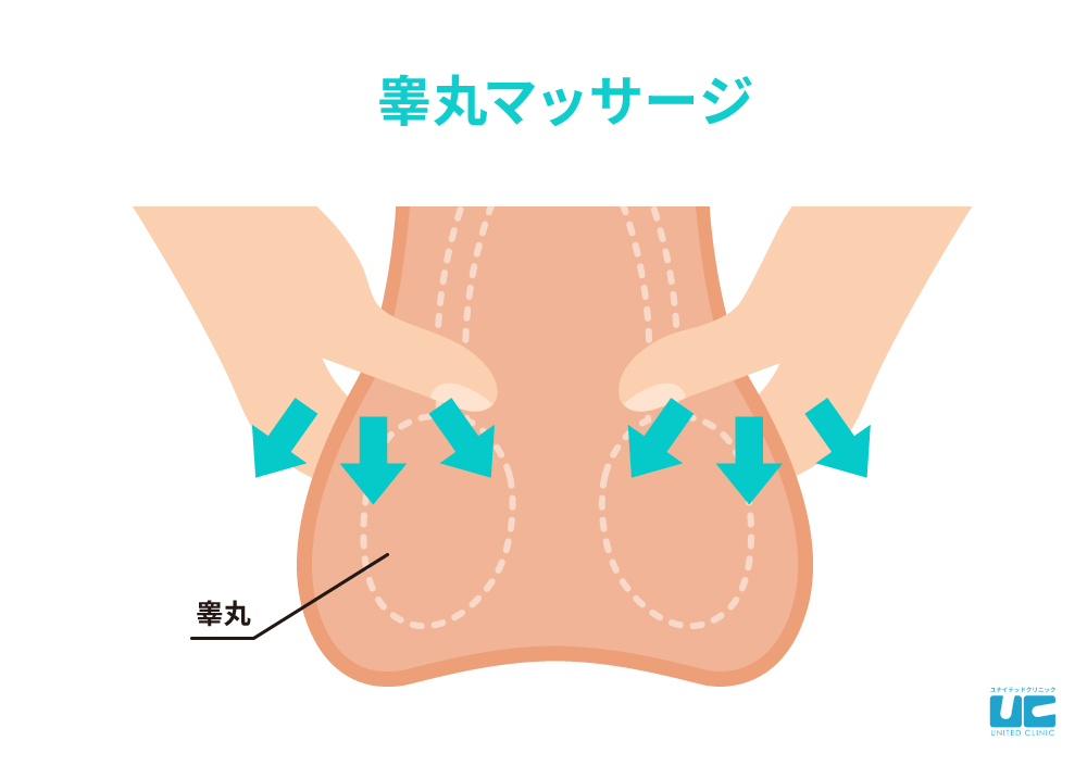 EDで勃たないときに試したいマッサージ・ツボ一覧！勃起させたいならどこを押す？ |【公式】ユナイテッドクリニック