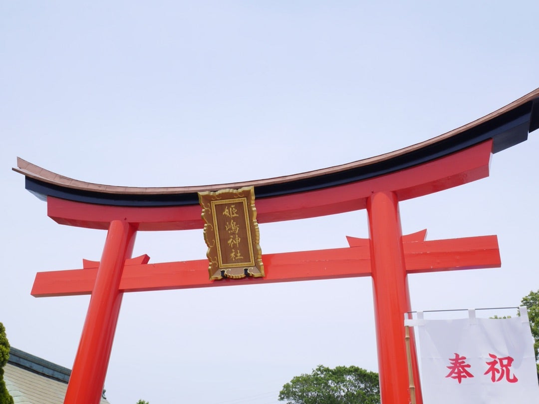 画像・写真 | 坂口健太郎、大阪・やり直し神社で大ヒット祈願