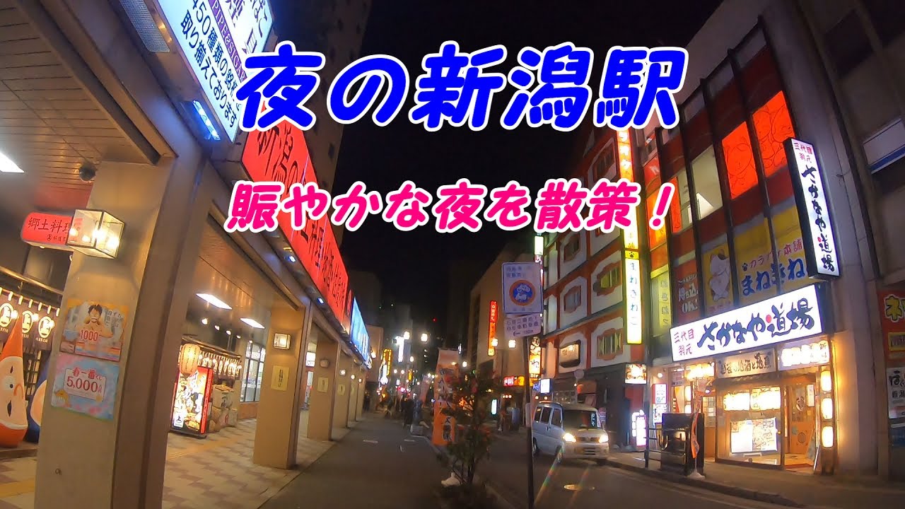 【都会】新潟駅前の夜ってどんな街？【おむキャラJ】