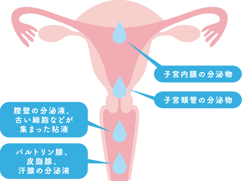 おりものに白い塊】ねばねば・かゆくない・妊娠・病気のケースを解説！｜wakanote