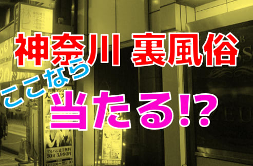 大和のパンスト破り可風俗ランキング｜駅ちか！人気ランキング