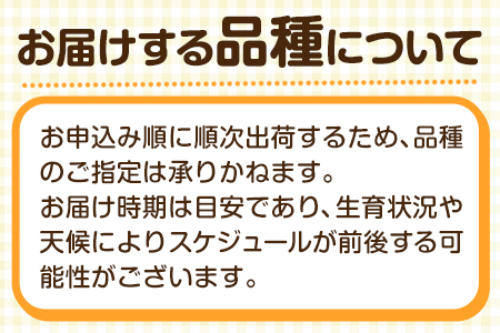 wv0314/B1判『彼らが本気で編むときは、』ポスター 荻上直子 生田斗真 柿原りんか ミムラ