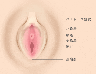 陰核包茎 | eクリニック岡山院【公式】｜美容整形・美容外科