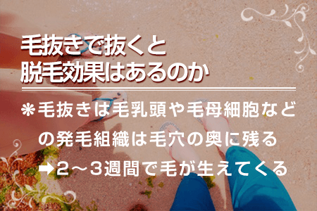 8つのムダ毛の処理を徹底比較！自己処理から医療脱毛まで【女性版】 - トイトイトイクリニック