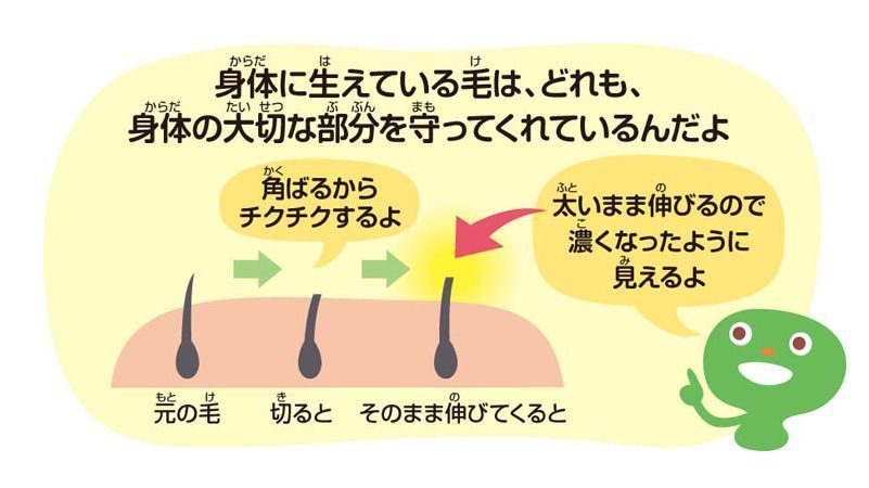 どうやったらチクチクしない？みんなのアンダーヘアの自己処理方法まとめ - ワタファク