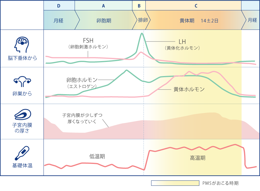 3000人にアンケート】妊娠超初期症状の体験談 いつから？どんな症状だった？｜ゼクシィBaby