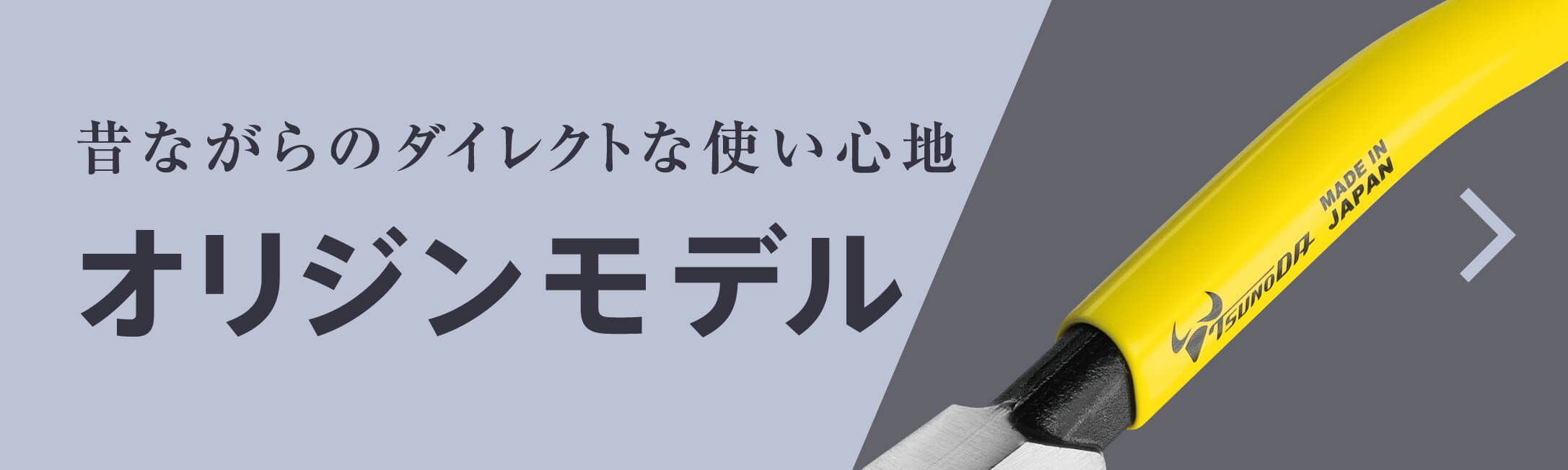 ミヤコテングハギ【モルジブ産】 | 海水魚図鑑（過去入荷）,海水魚,ハギ・アイゴ |