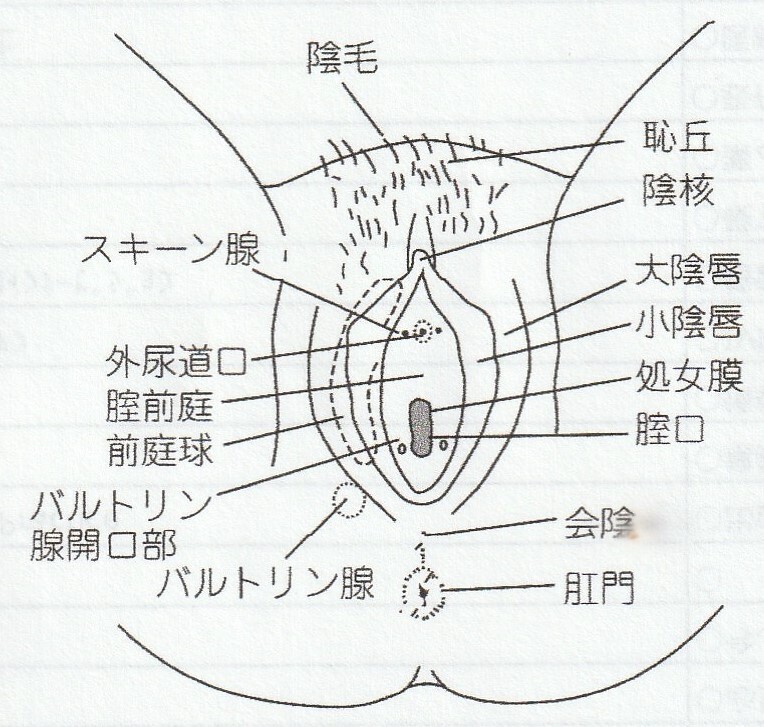 でんクリコラム】Webサイトの保守管理が必要なのはなぜ？サイトを作っただけで終わらせていけない理由とは？ | 