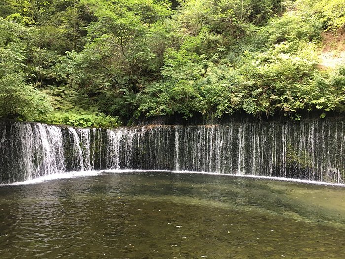 奥伊根温泉「奥伊根温泉 油屋本館」の口コミ＆詳細 |