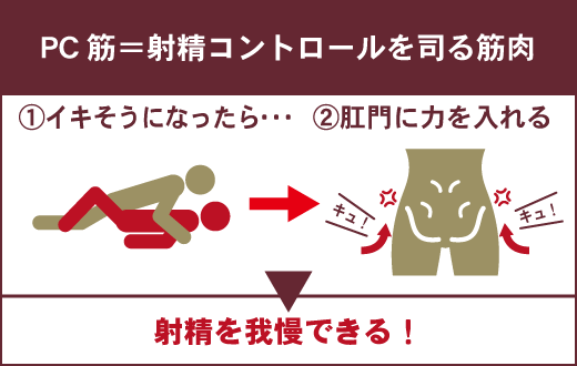 決定版】勃起力を上げる筋トレ方法6選！プロテインとの相乗効果も解説 | オンライン診療NAVI