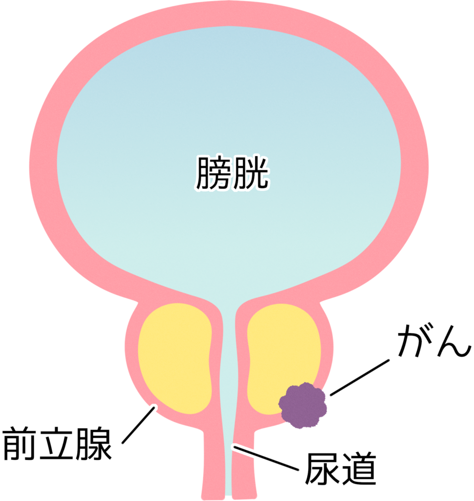 BANANA-BOY (岡山県・岡山市南区) | MagNavi【マグナビ】ゲイ向けマッサージ紹介サイト