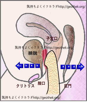 潮吹きのやり方やコツ・仕組みを徹底解説！潮吹き自慢の風俗嬢も紹介｜駅ちか！風俗雑記帳